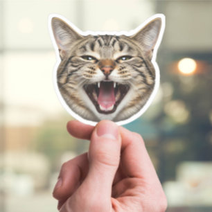 Adesivo Autocolante de Gato Personalizado - Foto Personali