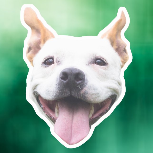 Adesivo Autocolante Personalizado, Face Personalizada De C (Criador carregado)