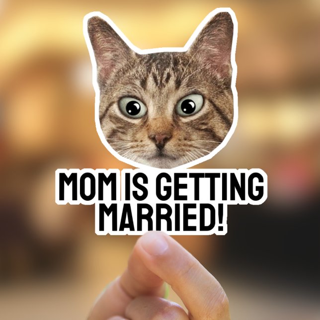 Adesivo Autocolantes de Gato de Pet Personalizados (Criador carregado)