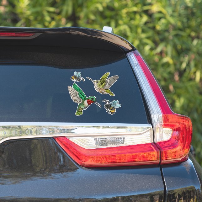 Adesivo Aves e Abelhas (Lado do carro)
