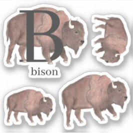 Adesivo B para Bison Stickers