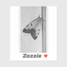 B&W - Ophiusa tirhaca, o tambor verde