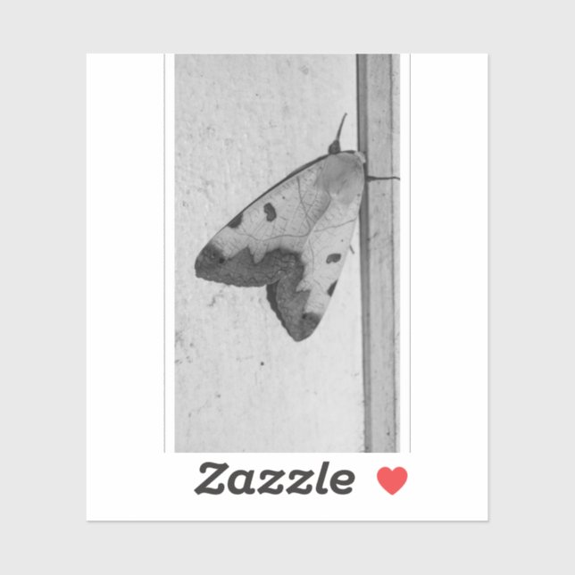 Adesivo B&W - Ophiusa tirhaca, o tambor verde (Folha)