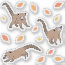Adesivo Baby Coatis