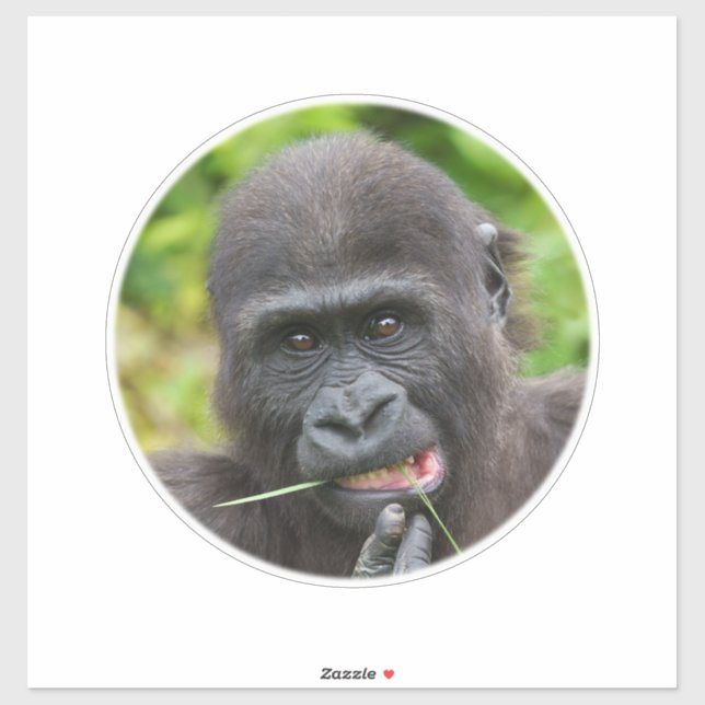 Adesivo Baby Gorilla Cuteness (Folha)