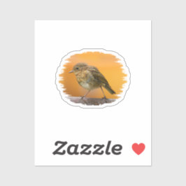 Adesivo Baby Robin Em Um Ramal De Árvore