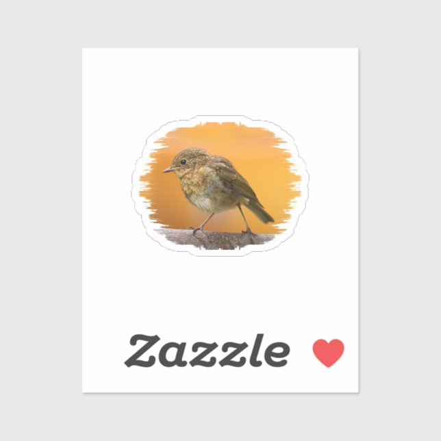 Adesivo Baby Robin Em Um Ramal De Árvore (Folha)