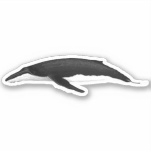 ADESIVO BALEIA HUMPBACK