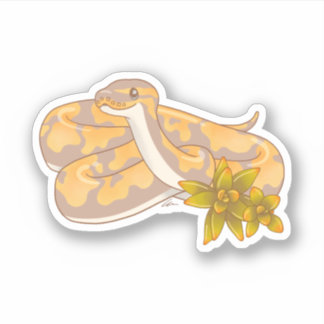 Adesivo Banana Ball Python e Succults Sticker