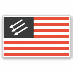 Adesivo Bandeira Americana Anti-Fascista