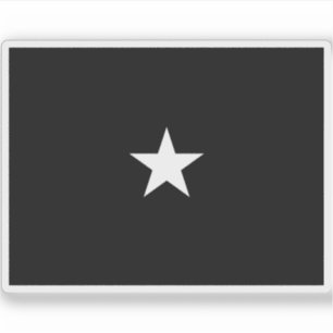 Adesivo Bandeira de um brigadeiro da Força Espacial dos EU