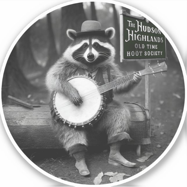 Adesivo Banjo Raccoon (Frente)