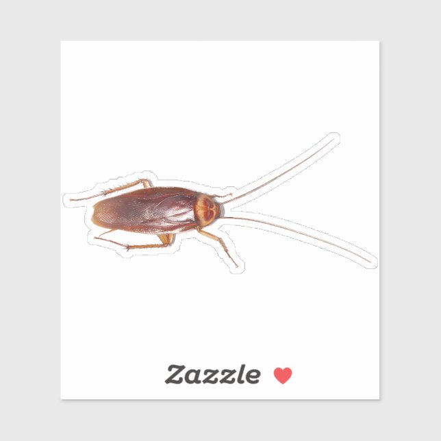 Adesivo Barata (Folha)