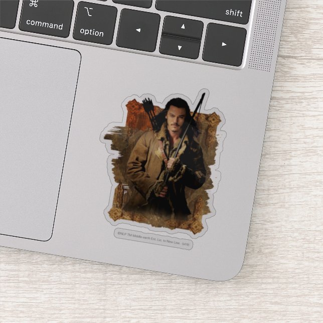 Adesivo BARD BOWMAN™ - Gráfico de enquadramento (Detalhe)