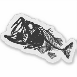 ADESIVO BASES E OSSOS