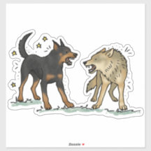 Beauceron - Trabalhando