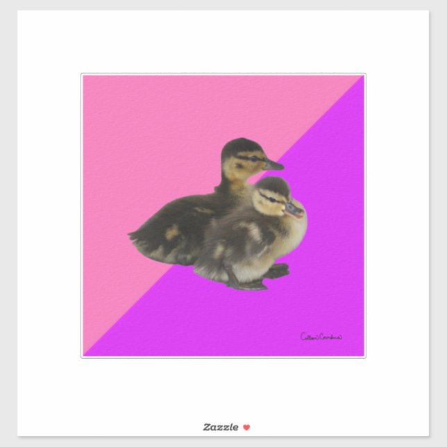 Adesivo Bebês com framboesa rosa e sorvete púrpura (Folha)