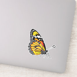 Adesivo Bela Borboleta Multicolorida