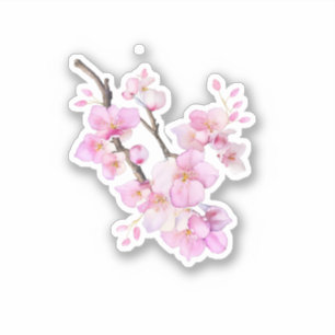 Adesivo Belas flores de cerejeira Sakura em rosa aguarela