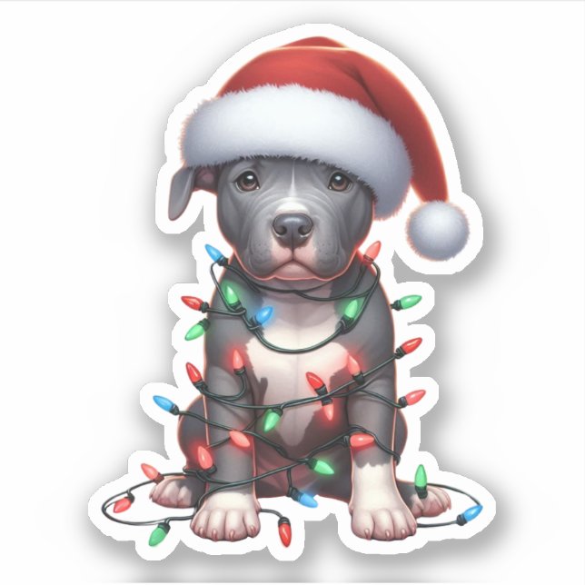 Adesivo Belo Pitbull de Natal (Frente)