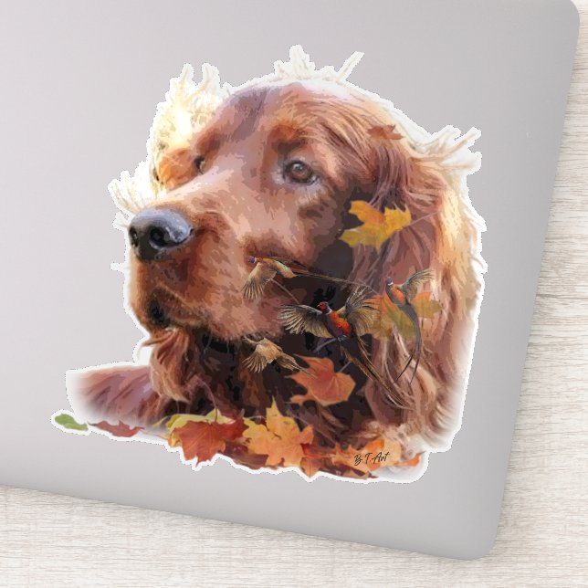 Adesivo Belo Red Setter Irlandês (Detalhe)