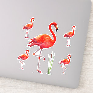 Adesivo Belos Flamingos