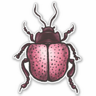 Adesivo Besouro Rosa - Arte Inseto Fresca - Lover Inseto