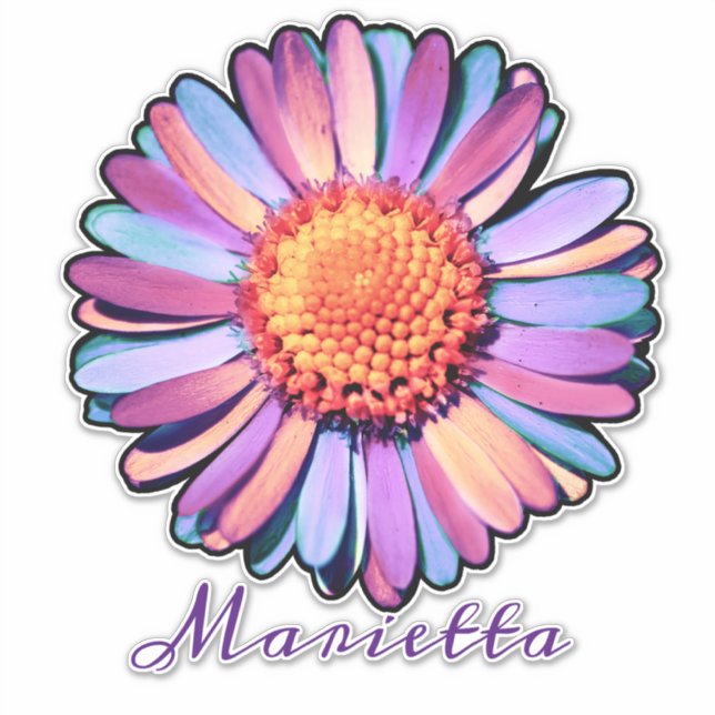 Adesivo Bi Personalizado - Margarida Azul Cor-De-Rosa-Cor- (Frente)