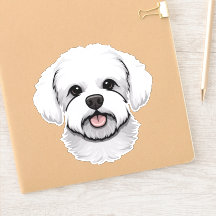 Bichon Frise Cachorro Cachorro Rosto Puppy Cartoon