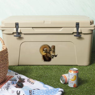 Adesivo Bighorn Ram Mountain Ovino Natureza Selvagem