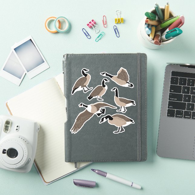 Adesivo Bird Lover Canada Geese Illustration Set (Capa para iPad)