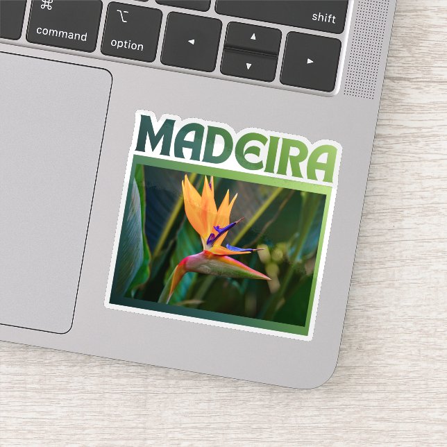 Adesivo Bird of Paradise flower, Madeira Portugal travel (Detalhe)