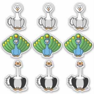 Adesivo Bird Swan, Peacock, Toque de Ostrich