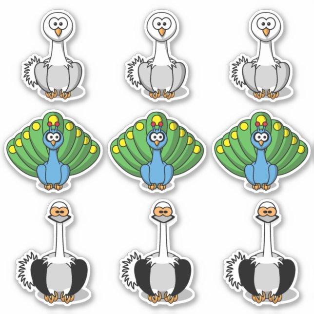 Adesivo Bird Swan, Peacock, Toque de Ostrich (Frente)