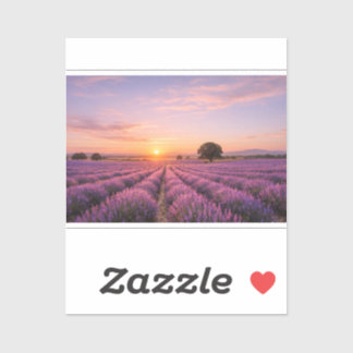 Adesivo Blooming Lavender Field at Golden Sunset Provence