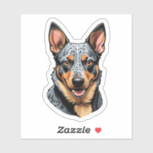 Blue Heeler