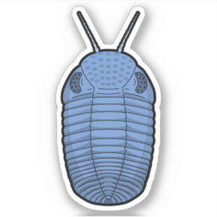 Adesivo Blue Phacops Trilobite - Vinil Animal Pré-Históric