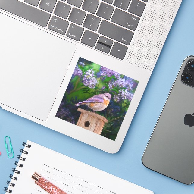 Adesivo Bluebird oriental na neve - Foto original (Notebook com iPhone)