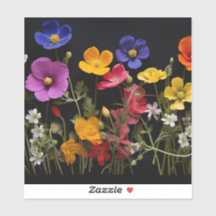 Bolachas e outras flores coloridas