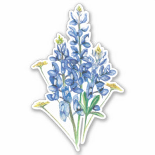 Adesivo Boletins e flores silvestres