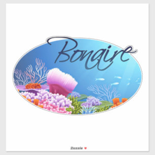 Adesivo Bonaire decal