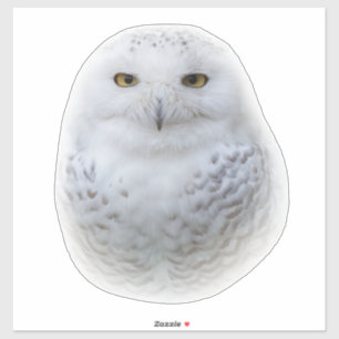 Adesivo Bonita, Dreamy e Serene Snowy Owl