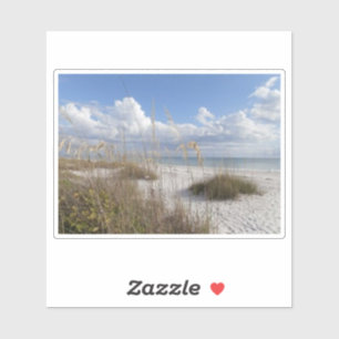 Adesivo Bonita springs, flórida