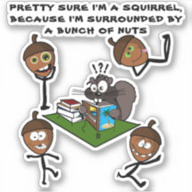 BONITO CERTEZA QUE SOU UM SQUIRREL