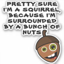 BONITO CERTEZA QUE SOU UM SQUIRREL - UM maluco