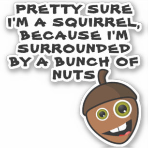 Adesivo BONITO CERTEZA QUE SOU UM SQUIRREL - UM maluco