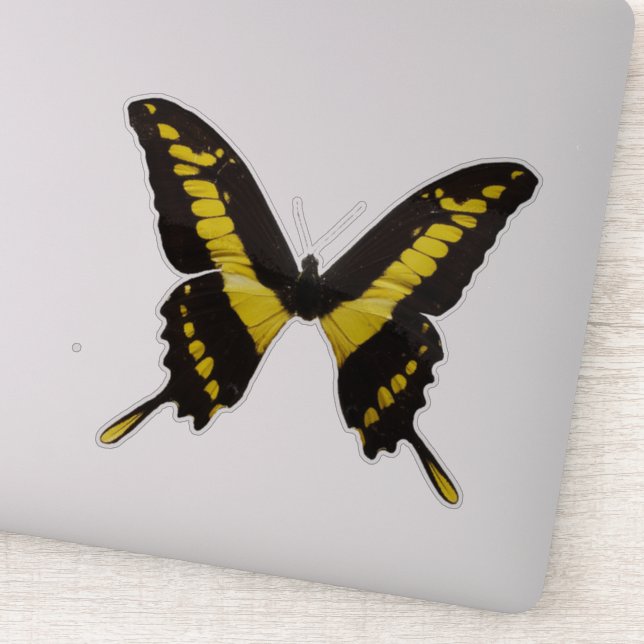 Adesivo Borboleta Amarela (Detalhe)