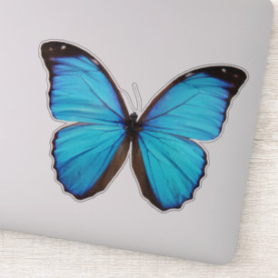Adesivo Borboleta Azul 1