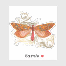 Borboleta de Colheita Laranja