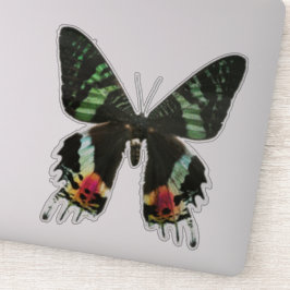 Adesivo Borboleta multicoloração iridescente